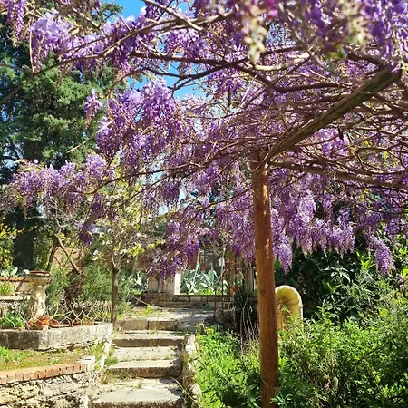 San Francesco * Rapolano Terme