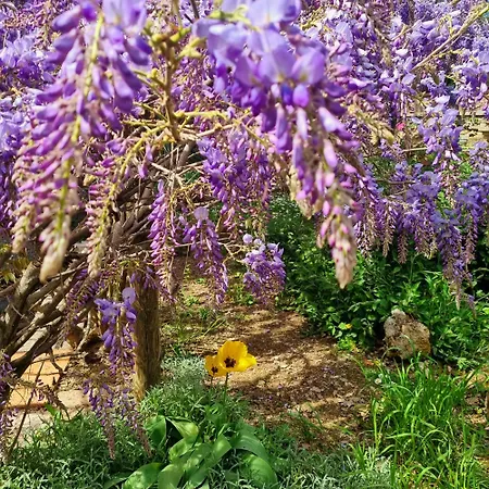 San Francesco Πανσιόν