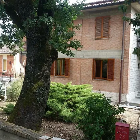 San Francesco *